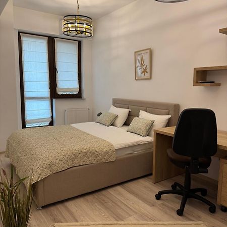 Luxury Studios Iasi Luaran gambar